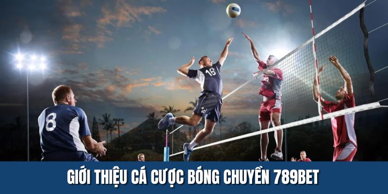 Giới thiệu về hình thức cá cược bóng chuyền 789BET