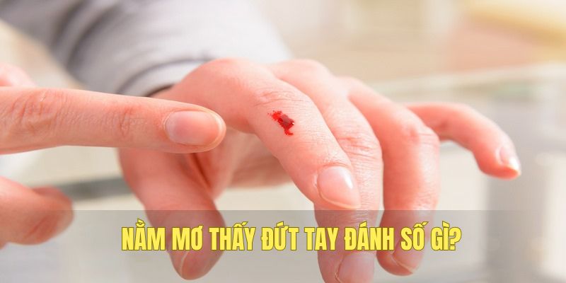 nằm mơ thấy đứt tay 789bet